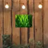 Grassprieten - Lichtinval - Groen tuinposter los doek klein -sfeer1