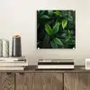 Bladeren - Regendruppels - Licht - Groen plexiglas 5mm klein -sfeer1