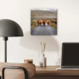 Schotse Hooglanders - Weg - Landschap - Kudde aluminium wit klein -sfeer5