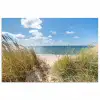Duin - Gras - Zee - Strand poster papier klein -3d