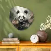 Panda - Dieren - Bloemen - Planten Wandcirkel Organisch Forex 3mm klein -sfeer2