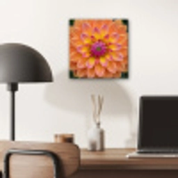 Dahlia - Bloem - Oranje aluminium wit klein -sfeer5