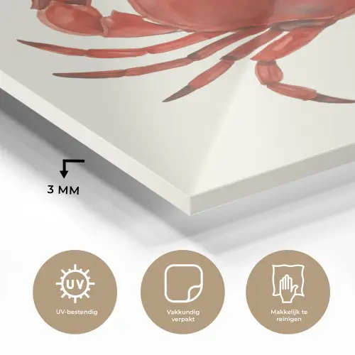 Krab - Felrood - Poten plexiglas 5mm klein -sfeer2