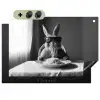 Konijn - Bunny - Zonnebril - Tafelkleed - Pasta - Schattig Inductie beschemer met haakjes klein -3d