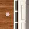 Effen roze - Traditioneel Naambord Hexagon klein -sfeer3-hexagon-XS