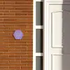 Paars - Sierlijk Naambord Hexagon klein -sfeer3-hexagon-XS