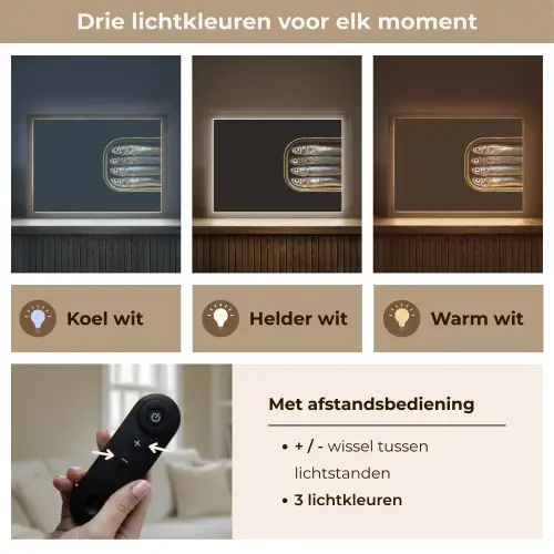 Sardines - Blik - Zwart - Vissen Light Box met batterij (Wandlamp) middel -USP_lichtkleurNL