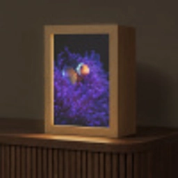 Koraal - Vis - Oranje - Zee Light Box met kabel (Tafellamp) klein -z3d_website