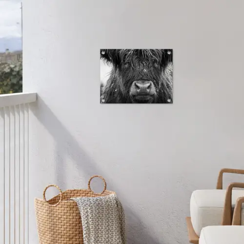 Schotse hooglander - Zwart - Wit - Sneeuwvlokken tuinposter los doek klein -sfeer8