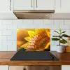 Zonnebloem - Close up - Geel - Quote keuken achterwand spatscherm klein -sfeer2