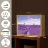 Lavendel - Natuur - Paars - Bomen - Bloemen Light Box met batterij (Wandlamp) middel -USP_websiteoverzichtNL