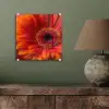 Oranje - Gerbera - Intens plexiglas 5mm klein -sfeer3