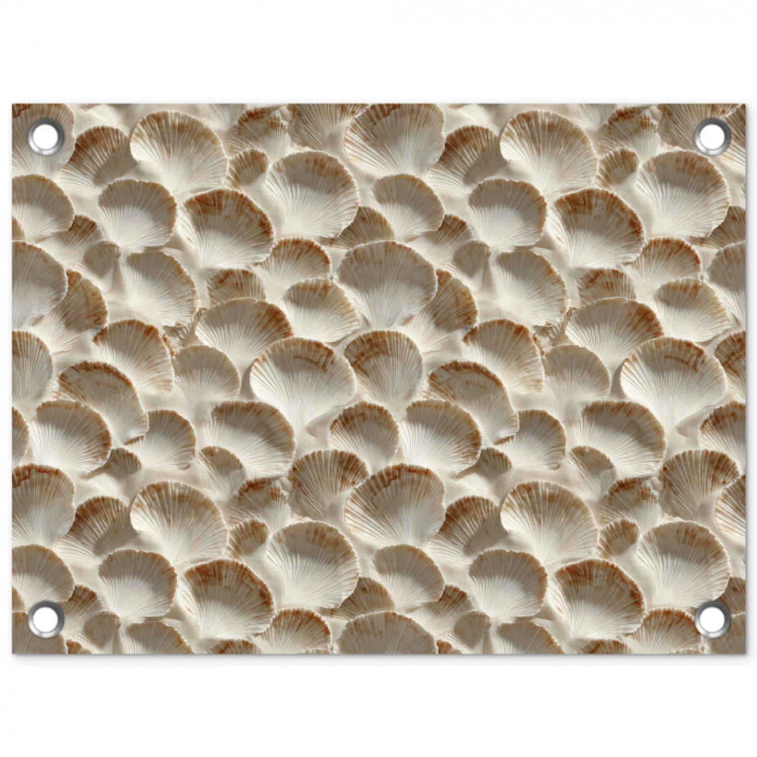 Schelpen - Waaiervorm - Wit tuinposter los doek klein 239 -3d