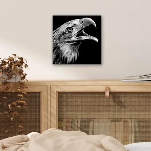 Adelaar - Portret - Roofvogels - Zwart - Wit - Vogel aluminium wit klein -sfeer3
