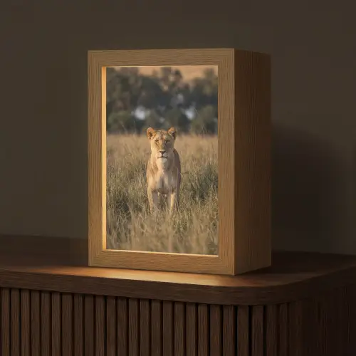 Leeuwin - Gras - Geel Light Box met kabel (Tafellamp) klein -z3d_website