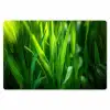 Grassprieten - Lichtinval - Groen Placemat vinyl groot -zzsfeer1_Kitchenyeah-website