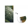 Blad - Groen - Nerven - Regendruppels fotobehang vinyl groot -3d