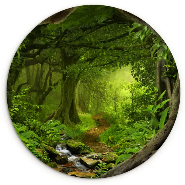 Jungle - Groen - Natuur - Tropisch - Planten Wandcirkel kunststof plaat 5mm dik klein -3d