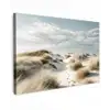 Duinen - Gras - Sporen - Wolken canvas 2cm klein -z3d