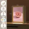Grapefruit - Roze - Disco - Shiny Light Box met kabel (Tafellamp) klein -USP_NL