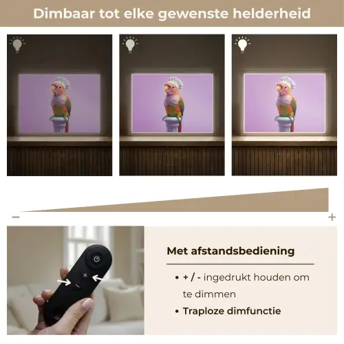 Papegaai - Koksmuts - Pilaar - Vogel Light Box met batterij (Wandlamp) middel -USP_dimbaarNL