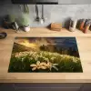 Bloemenveld - Heuvels - Zonsondergang - Berg - Natuur - Wit - Heuvels Inductie beschermer vinyl 3mm klein -sfeer5