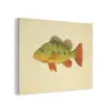 Schubben - Vis - Groen - Illustratie PET vilt klein -3d