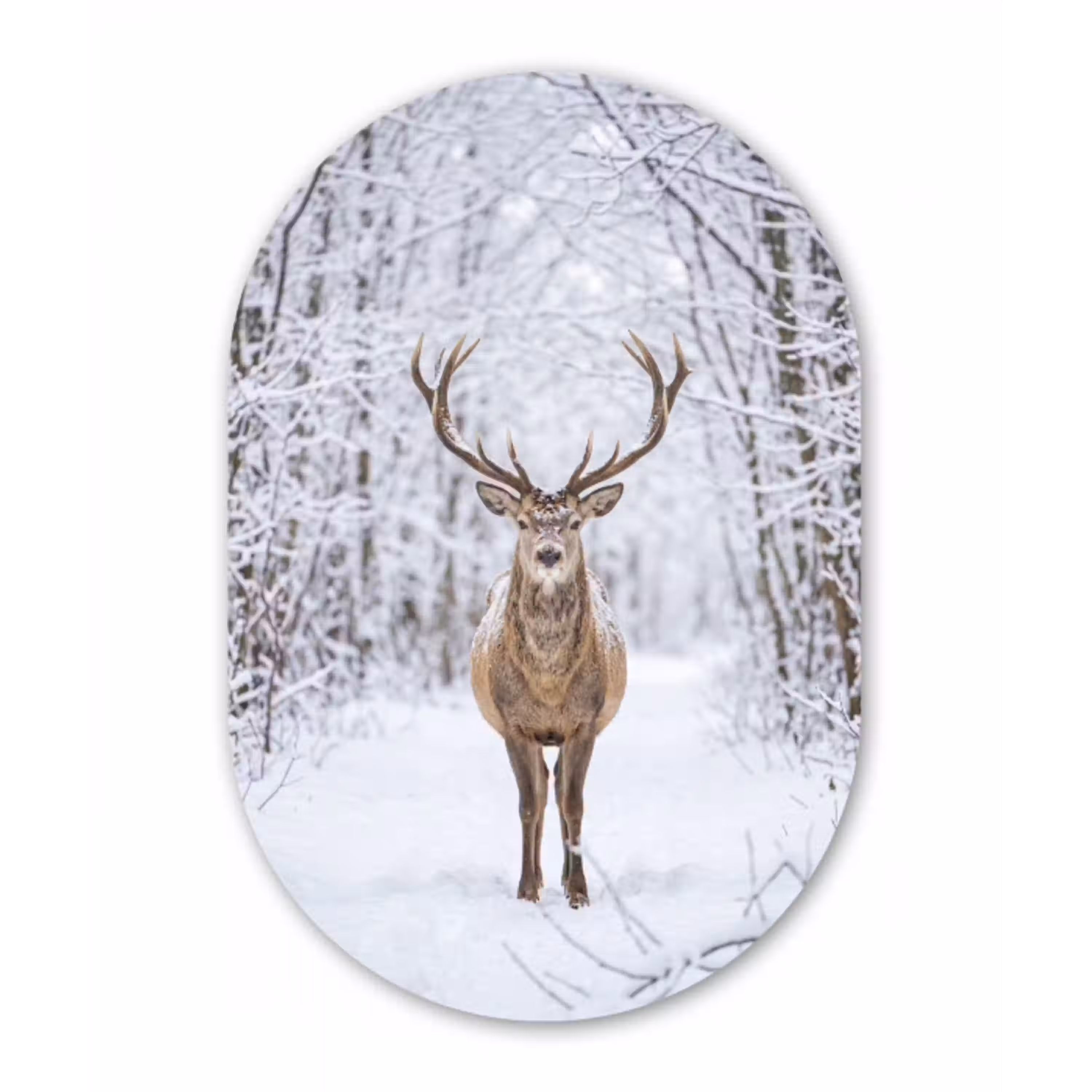 Hert - Winter - Bos - Natuur - Wit Wandcirkel Ovaal Aluminium middel -3d