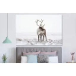 Rendier - Gewei - Sneeuw - Winter forex 5mm xxl -slaapkamer
