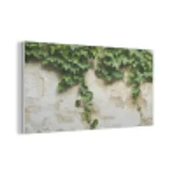 Klimop - Muur - Groen PET vilt middel -3d