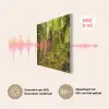 Bomen - Steen - Bos - Natuur - Planten PET vilt klein -USP_NL