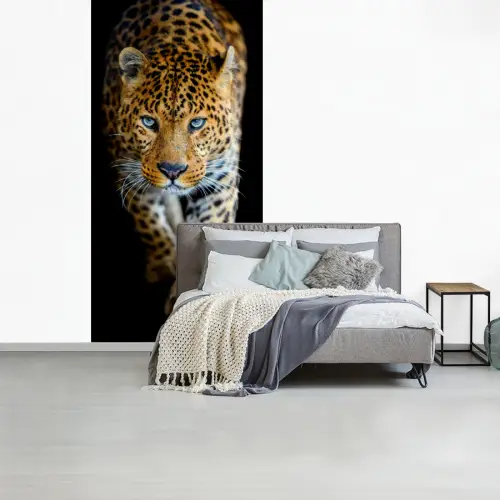 Luipaard - Dieren - Portret - Wilde dieren - Zwart fotobehang vinyl groot -slaapkamer