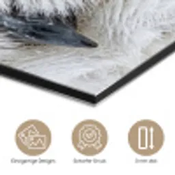 Sneeuwuil - Oog - Wildlife - Wit aluminium wit klein -closeup_DE