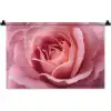 Roze - Roos - Romantisch Wandkleed katoen klein -zz3d