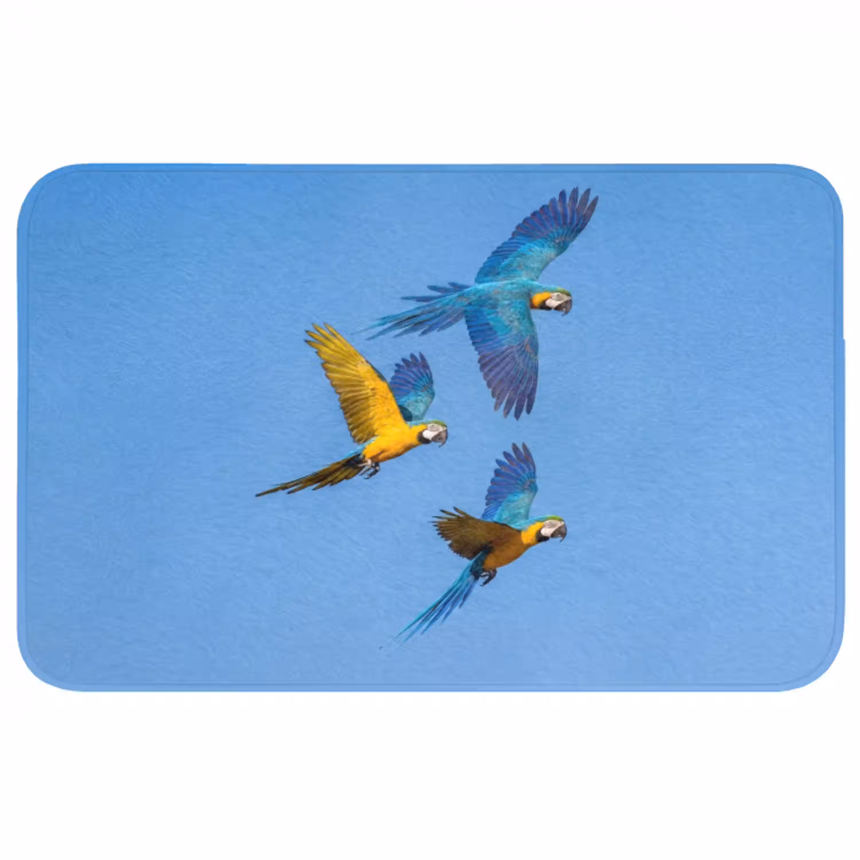 Papagaai - Vliegen - Blauw - Geel Badmat middel -3d