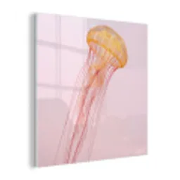 Sierlijk - Kwal - Roze plexiglas 5mm klein -z3d