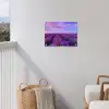 Lavendel - Paars - Bloemen - Natuur tuinposter los doek klein -sfeer8