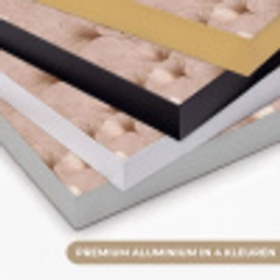 Ginkgo - Patroon - Roze Textielframe zwart klein 947 -USP_kleurenNL