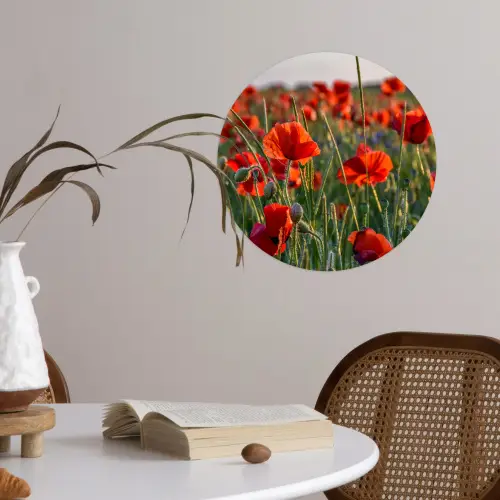 Bloemen - Klaprozen - Natuur - Rood Wandcirkel behangsticker klein -sfeer3