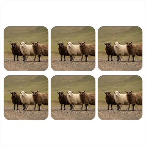 Schapen - Bruin - Wit - Grindpad onderzetter kurk middel -3d