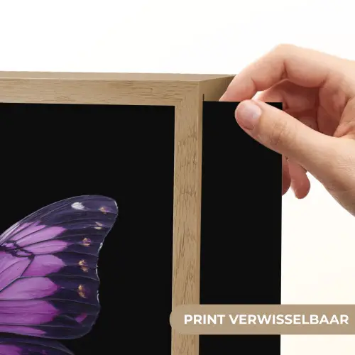 Vlinder - Paars - Levendig Light Box met batterij (Wandlamp) middel -USP_websiteprintNL