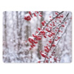 Bessen - Takken - Sneeuw - Winter - Kleurrijk muismat rubber klein -3d