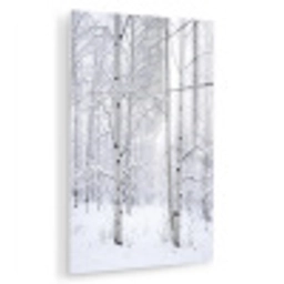 Berkenbomen - Sneeuw - Winter - Bos - Wit plexiglas 5mm klein -zzzproduct_nieuw