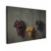Druiven - Kleurrijk - Muur canvas 2cm klein -z3d