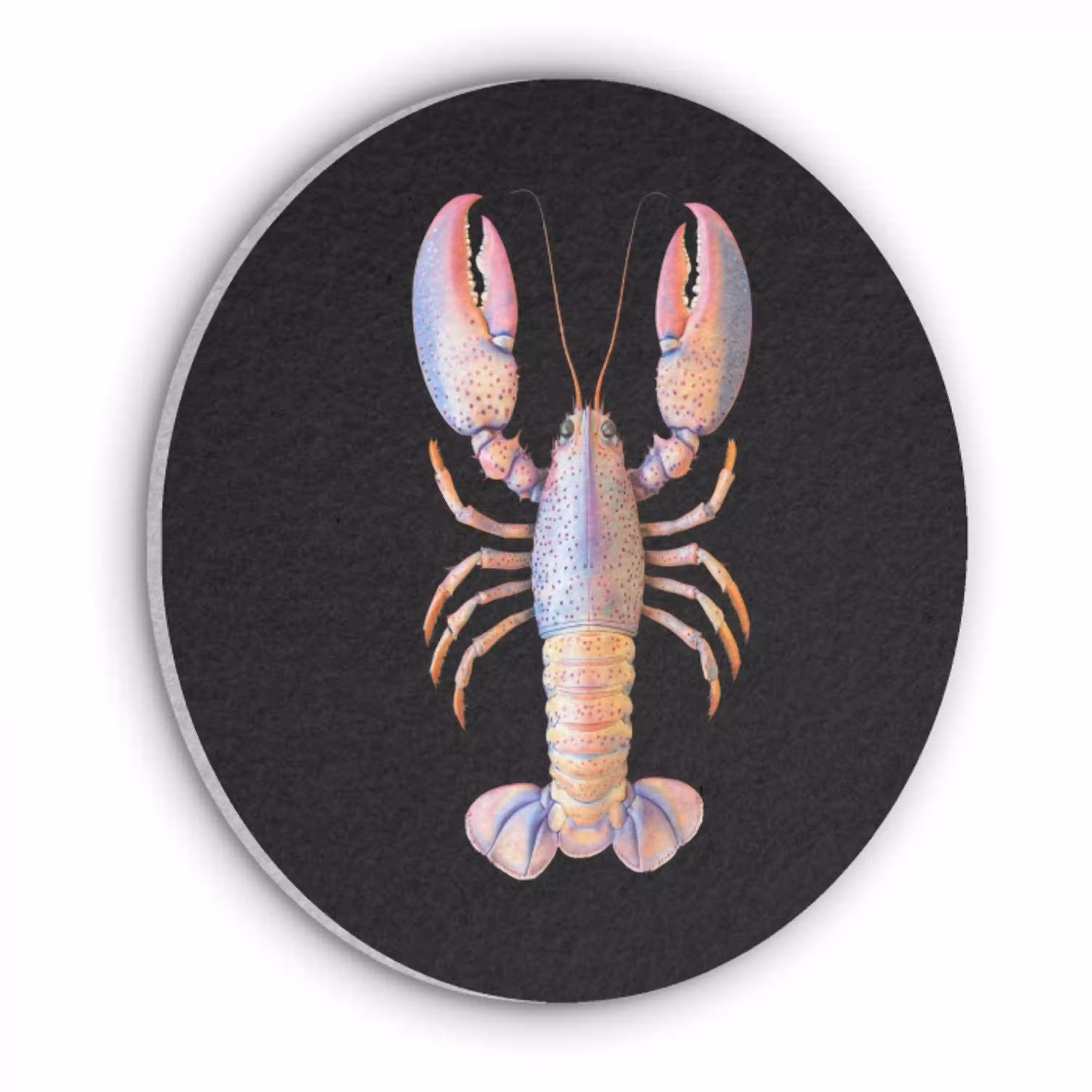 Kreeft - Roze - Zacht - Zwart Akoestische PET Vilt - Rond klein -3d