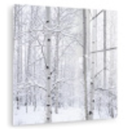Berkenbomen - Sneeuw - Winter - Bos - Wit plexiglas 5mm klein -zzzproduct_nieuw