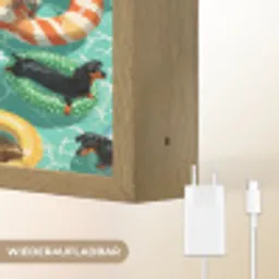 Teckels - Zwembad - Kleurrijk Light Box met batterij (Wandlamp) middel 907 -USP_websiteoplaadbaarDE