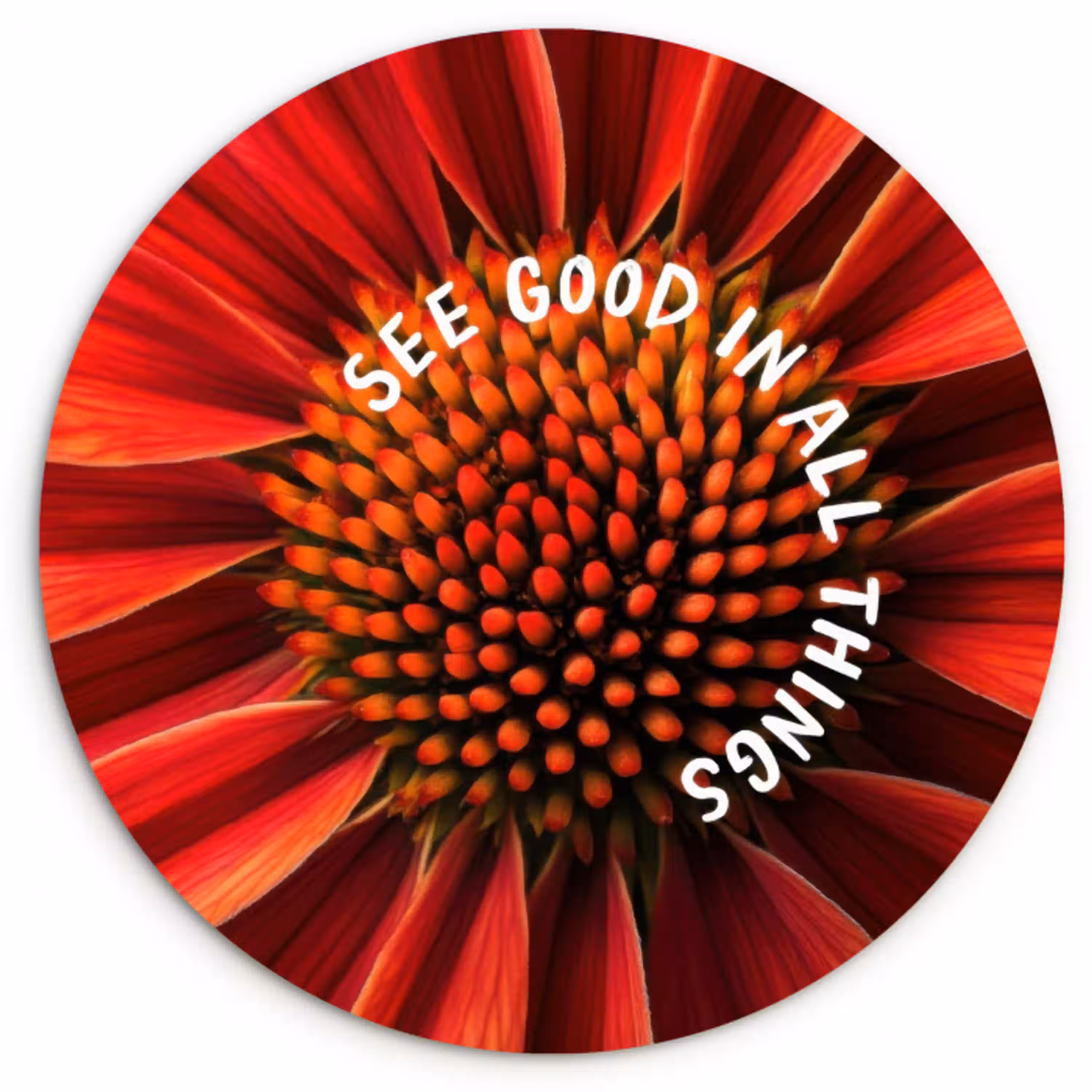 Close up - Bloem - Quote - Rood Wandcirkel plexiglas klein -3d