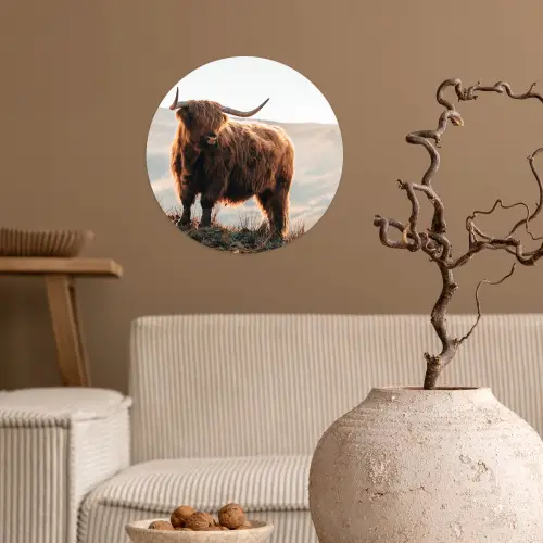 Schotse hooglander - Dieren - Landelijk - Landschap - Koe - Natuur Wandcirkel behangsticker klein -sfeer1
