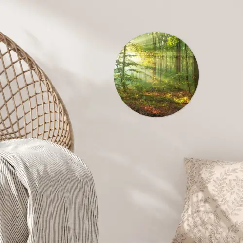 Zon - Bos - Bomen - Natuur - Herfst Wandcirkel behangsticker klein -sfeer4